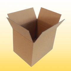 200 Karton 24 cm x 19 cm x 19 cm (LxBxH)